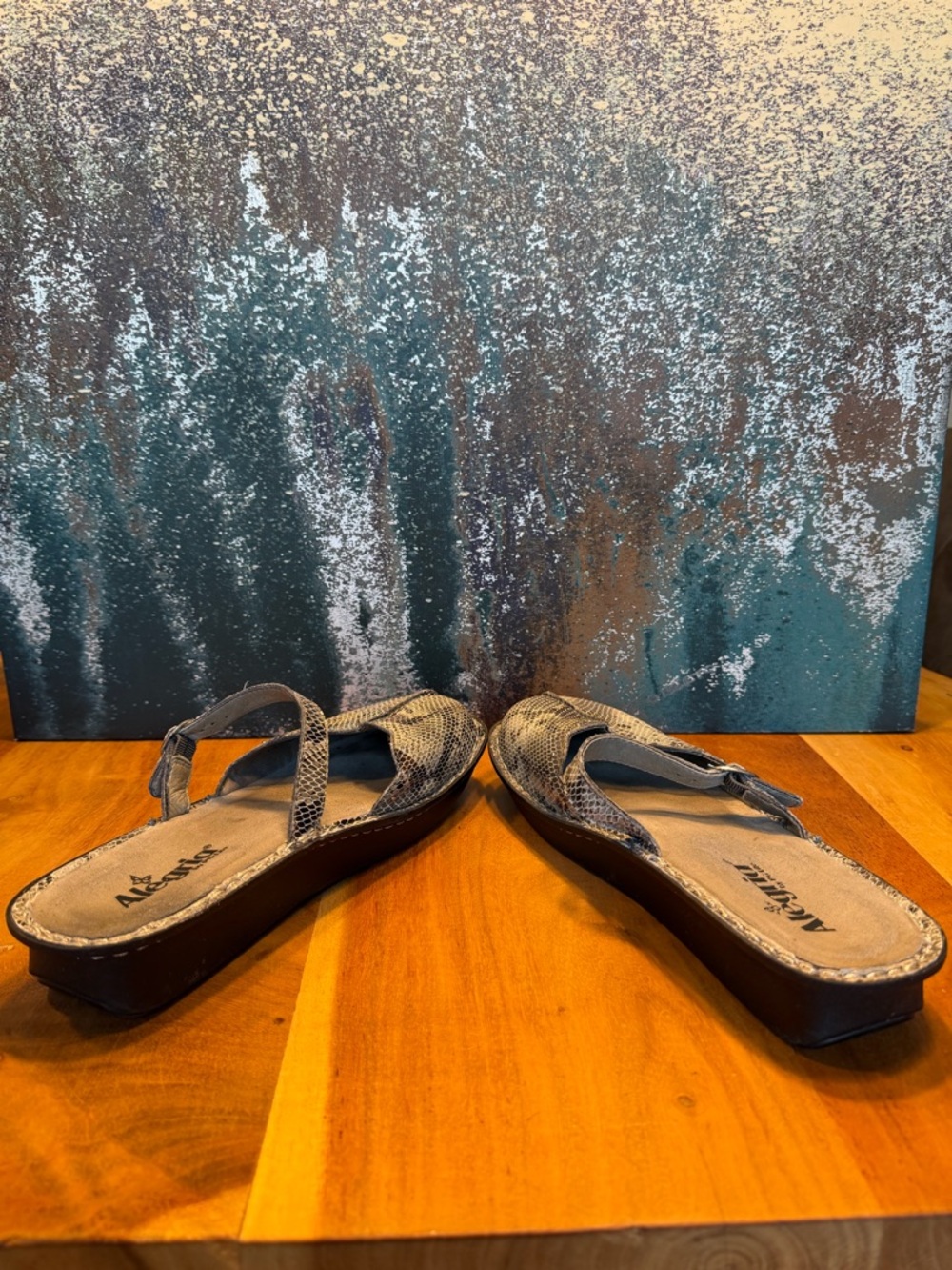 Alegria Boho Snakeskin Leather Mary Jane Clog Mule Gray/Black (GUC) - Picture 12 of 16